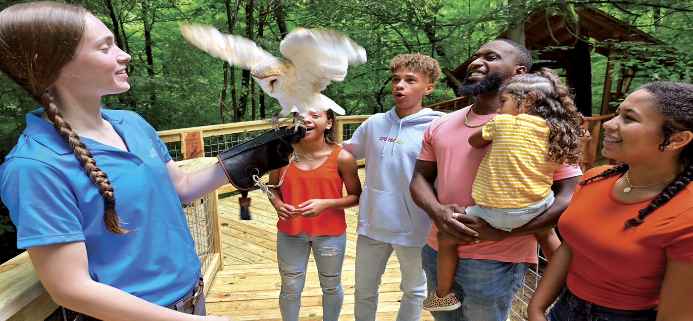 Ohio Bird Sanctuary with owl
